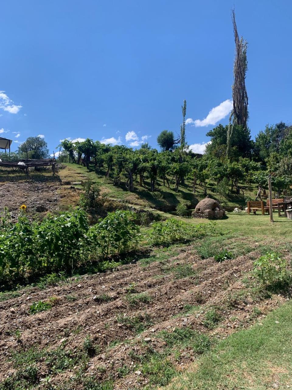 Cabana Cortaderas Mi Campito Cachi Salta Экстерьер фото